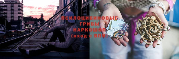дживик Пестово