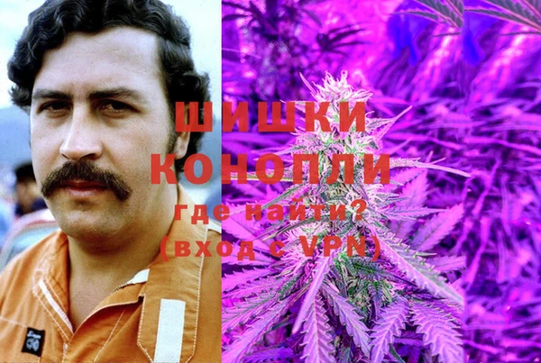 трава Переславль-Залесский