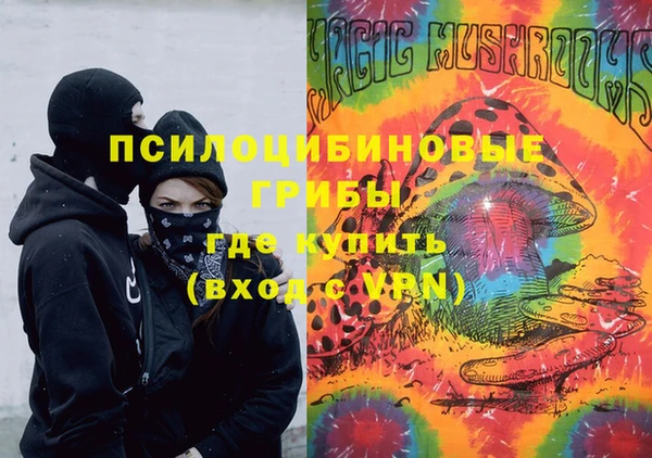 дживик Пестово