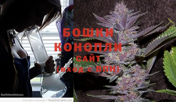 дживик Пестово