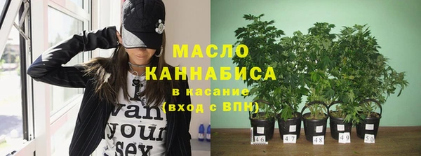 дживик Пестово