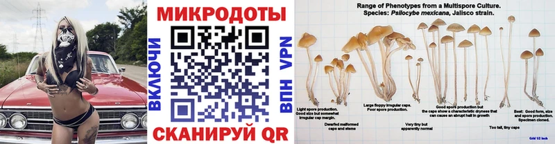 Галлюциногенные грибы MAGIC MUSHROOMS  купить наркотик  Кущёвская 
